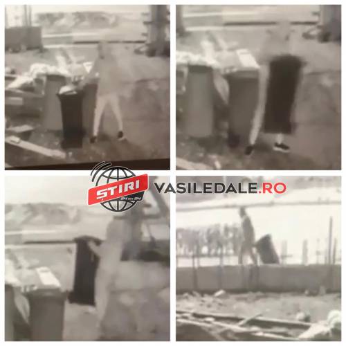 EXCLUSIV VIDEO CITITORI: ATENȚIE BĂIMĂRENI – Se fură pubelele pline cu deșeuri menajere. Recompensă 500 lei