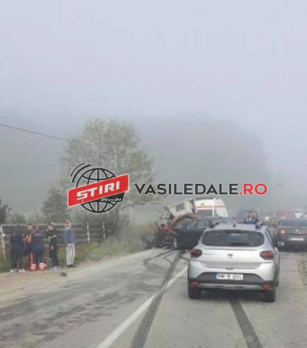 FOTO: Accident la Borcut. Coliziune între un autoturism şi un tractor ce tragea două vaci. Un copil de 9 ani rănit (actualizare)