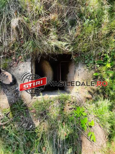 FOTO: Berbec salvat de polițiștii din Ocna Șugatag