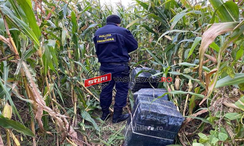 CONTRABANDĂ: Aproximativ 10.000 pachete țigări confiscate la Remeţi şi Vişeu de Sus CONTRABANDĂ: Aproximativ 10.000 pachete țigări confiscate la Remeţi şi Vişeu de Sus