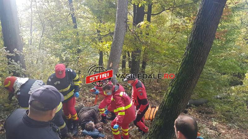 FOTO/VIDEO – INTERVENŢIE LA TĂUŢII DE SUS: Bărbat accidentat de copacul pe care-l tăia în Pădurea Valea Gordanului – ACTUALIZARE