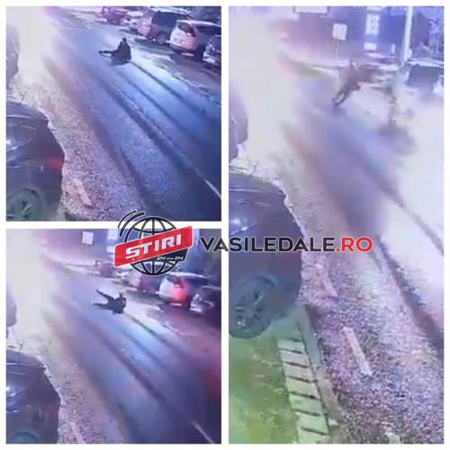 247659039_1233877873743075_6284601802479341197_n