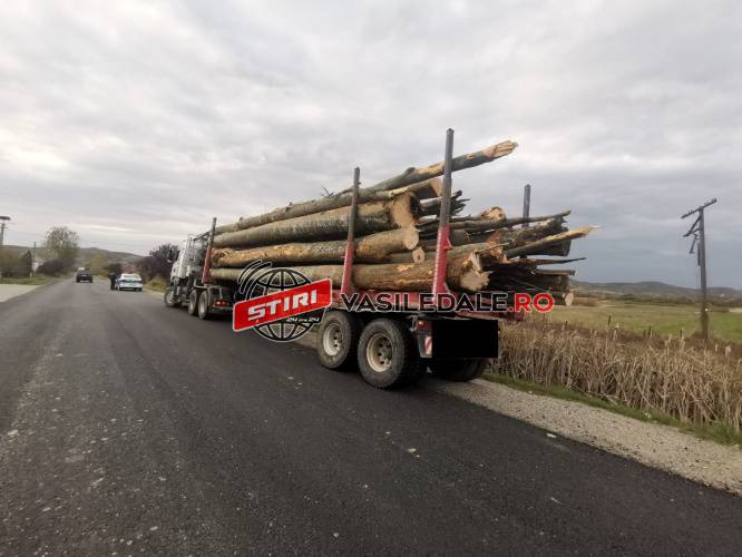 FOTO: Infracțiune silvică constatată în flagrant delict de polițiștii din Negreşti Oaş. Un maramureşean s-a ales cu dosar penal