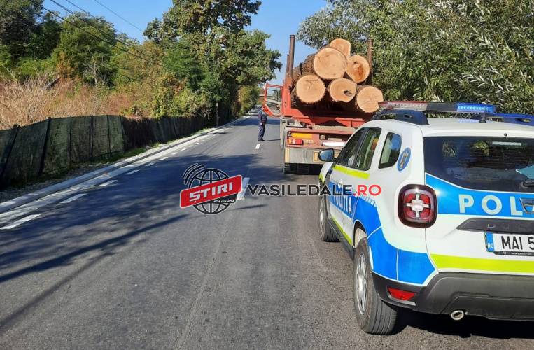 E GROASĂ RĂU DE TOT: 500 mc lemn confiscaţi şi amenzi în valoare de 155.000 lei în Maramureş