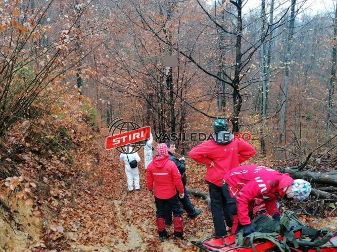 FOTO, VIDEO: Bărbat găsit spânzurat pe Valea Usturoiului. Se pare că şi-a pus capăt zilelor de cel puţin 10 zile.