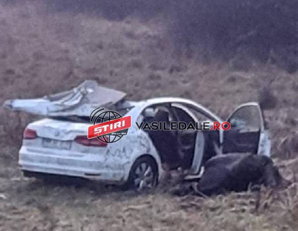 FOTO EXCLUSIV: Trei oameni răniţi din cauza unui cal apărut pe şosea la Mogoşeşti (ACTUALIZARE)