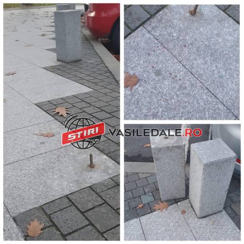 250096492_3027706320800238_1470704483213834406_n