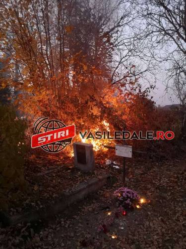 FOTO / VIDEO – Incendiu în Cimitirul Mare din Sighet din cauza lumânărilor aprinse de Ziua Morților