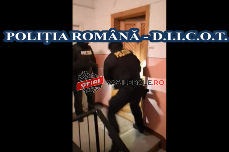 VIDEO / SĂLTAŢI DE MASCAŢI: Cinci băimăreni vindeau fără stres ecstasy, cocaină şi amfetamină – actualizare