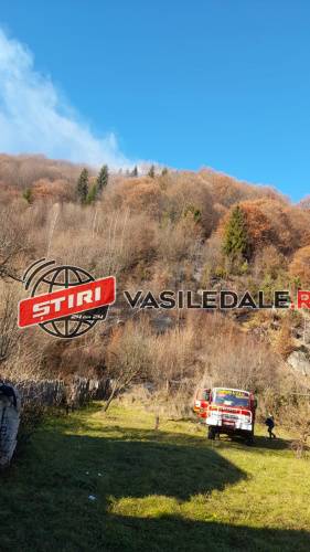 ALERTĂ LA POIENILE DE SUB MUNTE: Incendiu de vegetaţie uscată (VIDEO)