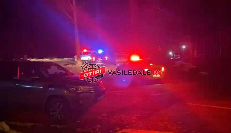 CĂRBUNARI: Au venit taxi-urile la o petrecere ilegală dar ”santinela” satului i-a pârât la poliție