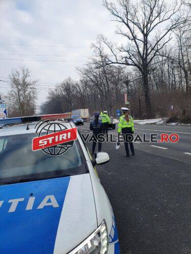 264366157_337015304614302_1812673731337796043_n