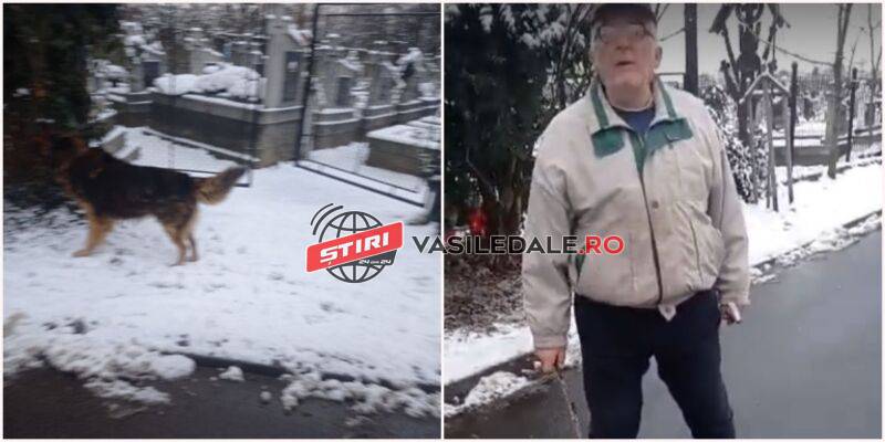 VIDEO / BAIA MARE: Tânără agresată de un bărbat pentru că l-a rugat să își bage câinele în curte