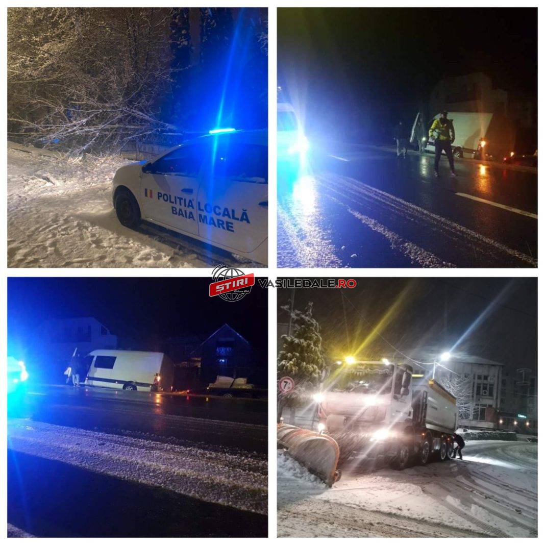 FOTO EXCLUSIV: Iarna creează probleme în Maramureş. Patru cetăţeni din Republica Moldova, răniţi după ce microbuzul în care se aflau a derapat şi a ajuns în şanţ (actualizare)