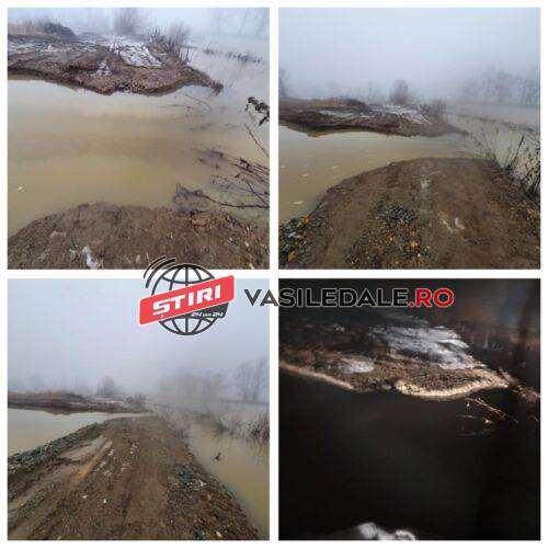 EXCLUSIV VIDEO: DISTRUGERE – S-a rupt digul de la Balta Mare din Remetea Chioarului. Excavaţiile ilegale ar fi cauza