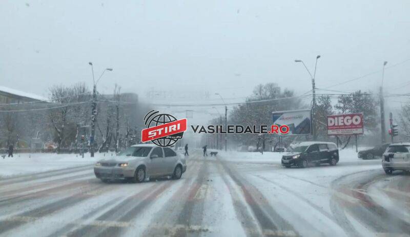 270583648_951903428786736_908275950554215587_n