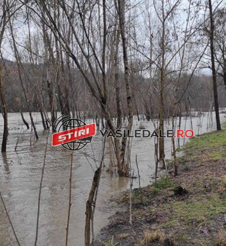 EXCLUSIV VIDEO: COD PORTOCALIU – Râul Tisa a ieșit din matcă între Valea Vișeului și Lunca la Tisa. Zeci de gospodării sunt amenințate de furia apelor