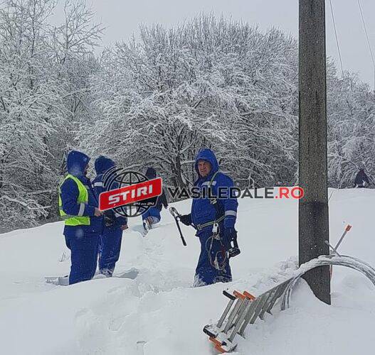 EXCLUSIV FOTO: AVARIE – 300 gospodării din Țara Lăpușului dar și orașul Cavnic sunt fără energie electrică – ACTUALIZARE