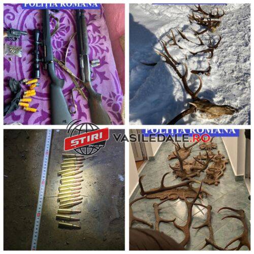 PERCHEZIȚII DOMICILIARE: Arme de vânătoare, revolver, cartușe, coarne de cerb, copite de căprior, descoperite la Vişeu de Sus – foto