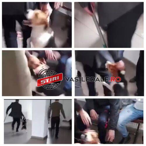 272244359_388282859728600_2130110953092915251_n