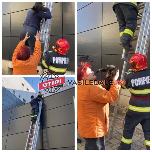 274258167_697579898262602_7963263559563871166_n