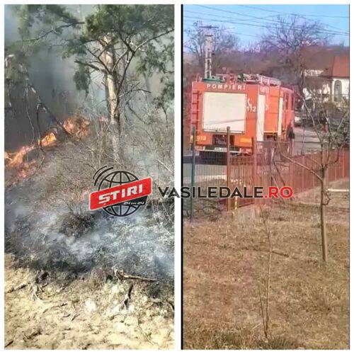 Exclusiv video: Arde pădurea de pini din Ciolt. Vântul împrăştie flăcările spre gospodăriile oamenilor
