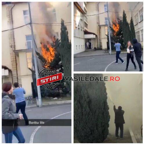 EXCLUSIV VIDEO: Ce nu fac elevii pentru a filma un TIK-TOK?!?! Au dat foc la un brad uriaș din curtea Colegiului Tehnic „George Barițiu” din Baia Mare. Trei elevi amendați de poliție pentru că au fumat (actualizare)