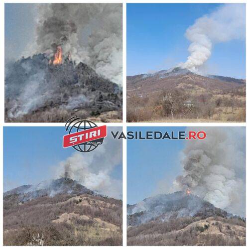 EXCLUSIV FOTO: Inconștiența oamenilor dusă la extrem – Pădurea dintre Valea Chioarului și Hovrila este ca un ”VULCAN care erupe”