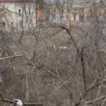 d665d417-14bb-4fb3-b78d-2cc81a21fe18