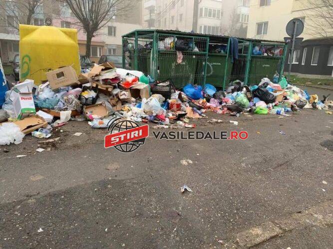 VESTE ”BUNĂ” PENTRU BĂIMĂRENI – CASTANIADA 2022 printre gunoaie, șobolani și haite de maidanezi?