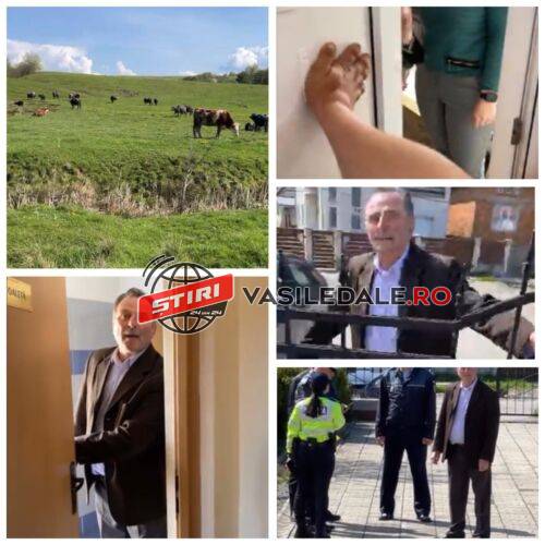 Imagini halucinante la Suciu de Sus: Primarul s-a ascuns de furia crescătorilor de bivoli din Maramureș în WC și într-o farmacie. S-a încuiat până și-n Primărie