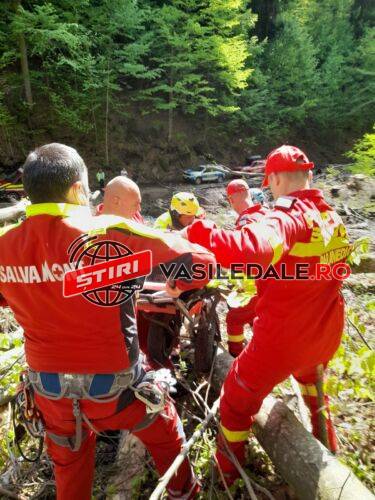 INTERVENŢIE DE URGENŢĂ LA IZVOARE: Tânăr rănit grav la muncă în pădure după ce a tăiat un lemn și i-a căzut în cap. Au intervenit salvatorii montani
