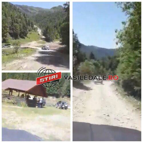 EXCLUSIV VIDEO: Garda Forestieră și Poliția Maramureș – razii la Vișeu de Sus, Repedea, Ruscova și Poienile de Sub Munte. Vizat a fost și patronașul Buric