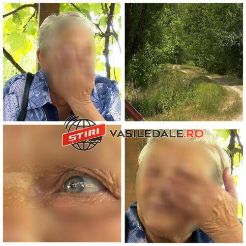 MĂRTURII CUTREMURĂTOARE ÎN CAZUL FETIȚEI de 14 ani violate: ”I-a sărit în spate un om cu o mănușă pe mână, i-a pus cuțitul la gât, i-a dat un pumn în gură și a batjocorit-o” (video)