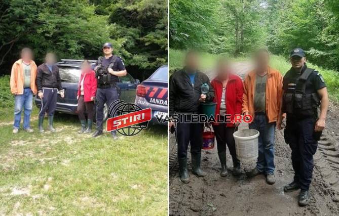 GĂSIŢI DE JANDARMI: Au plecat să culeagă ciuperci şi s-au rătăcit în zona Băiţa de Sub Codru