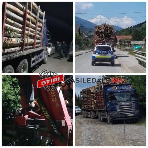 EXCLUSIV VIDEO: Camion plin cu lemn de fag transportat ilegal la Borşa. Şoferul a fugit – ACTUALIZARE 2