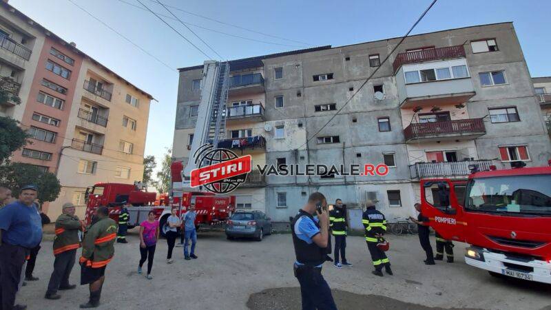 1a320c4b-815d-4585-b12b-61775aeaf709