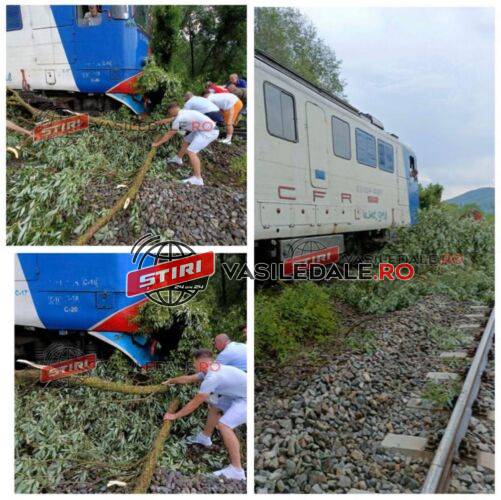 FOTO EXCLUSIV – Trenul accelerat Baia Mare – București blocat de copacii căzuți pe linia ferată, în GLOD