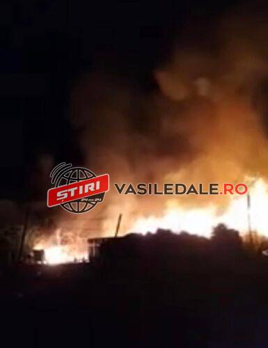 EXCLUSIV VIDEO: Arde groapa (i)legală de gunoi dar si un depozit de pubele de la Baia Sprie