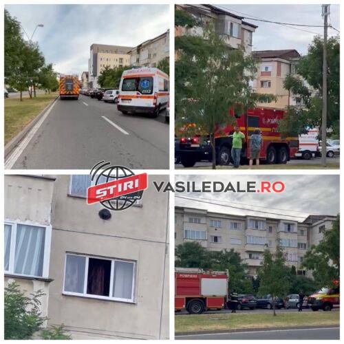 291957604_758282718850839_4104339959577060681_n