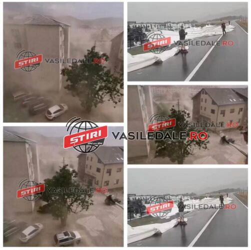 294855712_599004021681006_1311481519545493672_n