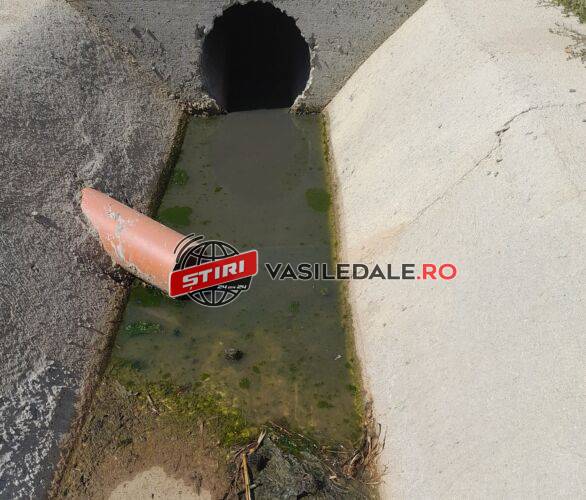 295449356_596343768748151_8906600070229826393_n