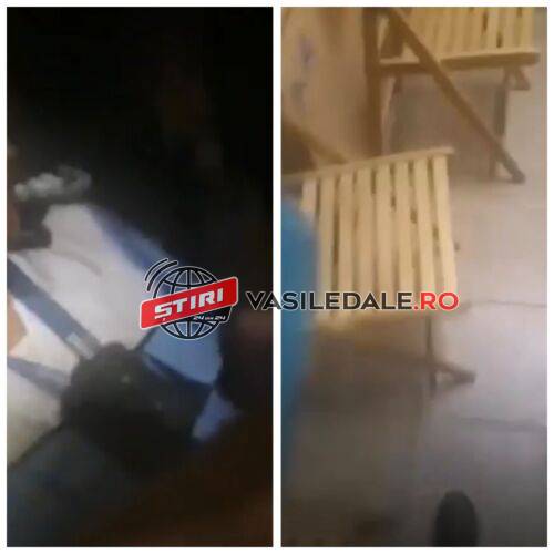 EXCLUSIV VIDEO: Poliţişti întâmpinaţi cu toporul la Sighetu Marmaţiei. 3 bărbaţi încătuşaţi