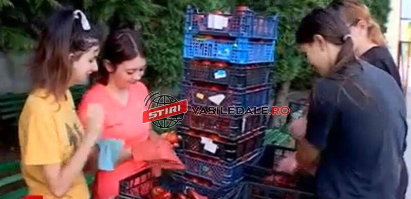 Elevii Liceului Agricol din Seini cultivă legume şi le vând pentru a-şi moderniza clasele