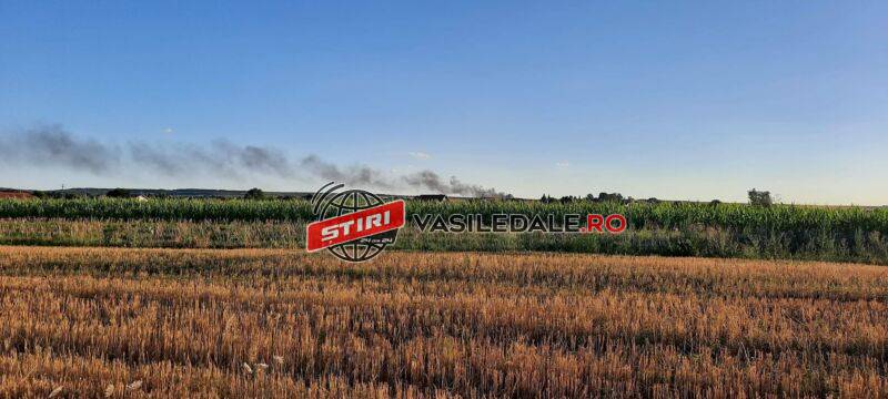 FOTO: Incendiu la o firmă de mase plastice de la Coltău