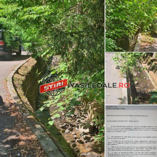 297585640_1735732603453683_7185962468457455549_n1