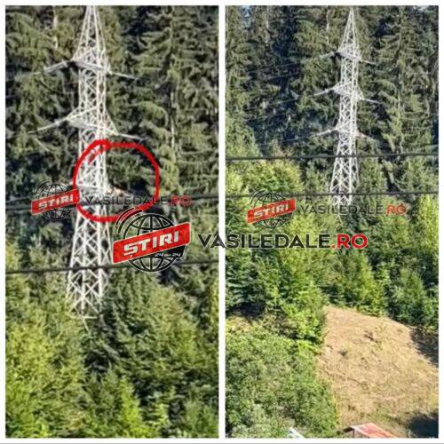 2a11a550-637d-41f7-b912-547ed46f623f