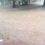 2fa11856-4bfc-45e7-a541-9266b279cada