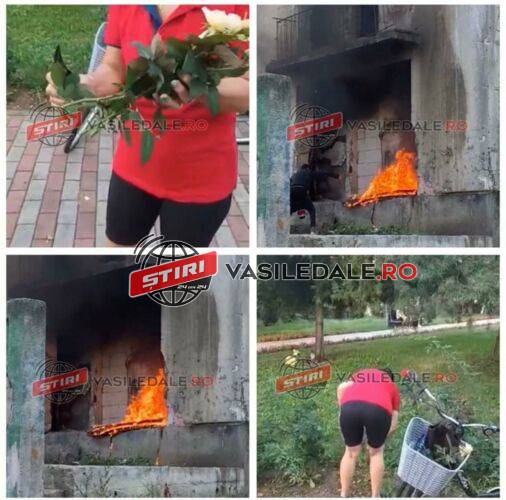 EPISODUL 2: BAIA MARE, ORAȘUL NIMĂNUI – ”Ghițucă” de la Locală se odihnește că este weekend: Focuri de tabără în blocurile reabilitate de Primărie. Flori culese din Parcul ”Dacia” fără ca nimeni să intervină