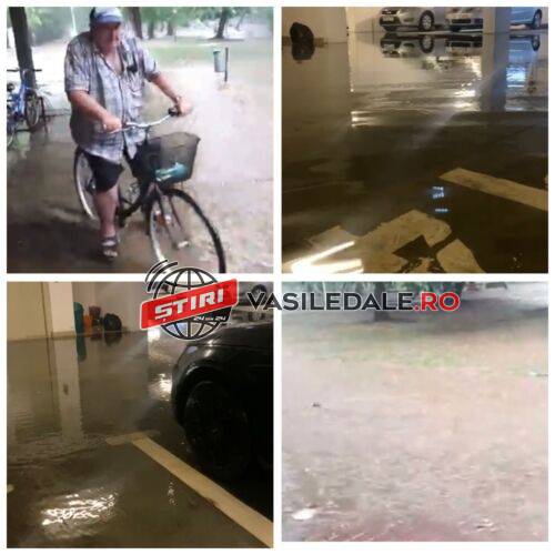 EXCLUSIV VIDEO: Potop în Baia Mare. Parcul municipal Regina Maria şi subsoluri de blocuri, acoperite de apă